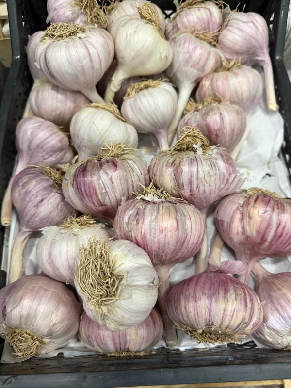 Fresh Garlic 1 kg
