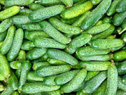 Fresh Bumpy Cucumbers 1 kg
