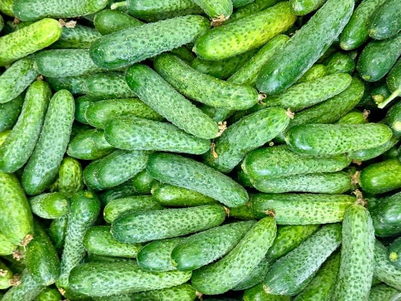 Fresh Bumpy Cucumbers 1 kg