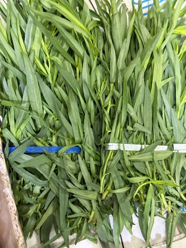 Fresh Tarragon Bunch 100 g
